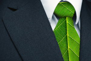 DECISION-MAKERS IN CHANGE Towards Green Energy
